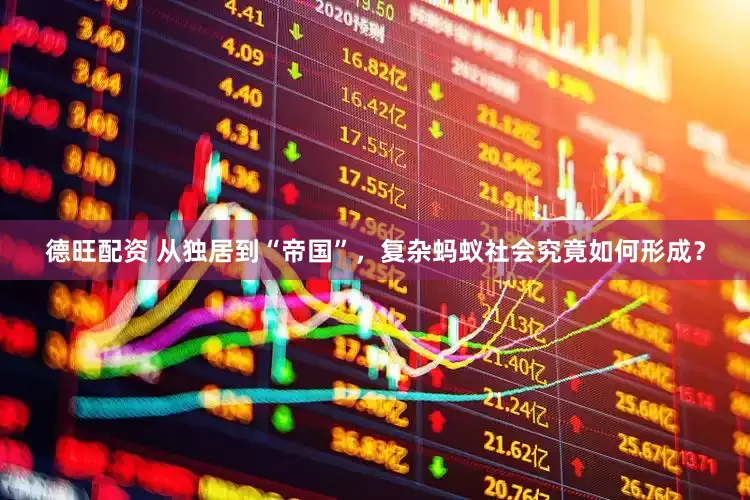 德旺配资 从独居到“帝国”，复杂蚂蚁社会究竟如何形成？
